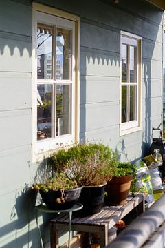 Nachmittagsglühen auf dem blauen Haus