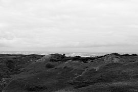 Photos de l'île de Langeoog, située en Frise orientale, dans la mer du Nord. sur Bianca Meyering Fotos - BMF