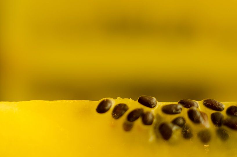Gouden Kiwi Slice by Christopher Lewis