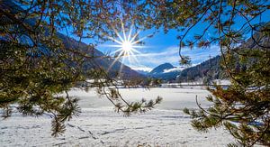 Sonnenschein am zugefrorenen Winklersee