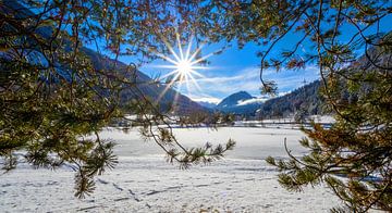 Sonnenschein am zugefrorenen Winklersee von Christa Kramer