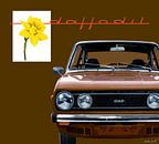 DAF 66 1300 Marathon Coupé van Ad Hermans thumbnail