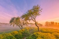 Lumière magique du matin