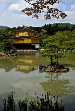 'Kinkaku-ji', Kyoto- Japan