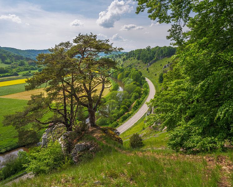 Vue sur la vallée de l&#039;Altmühl depuis les rochers des Douze Apôtres par ManfredFotos