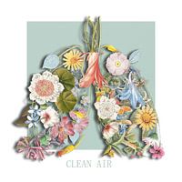 Clean Air