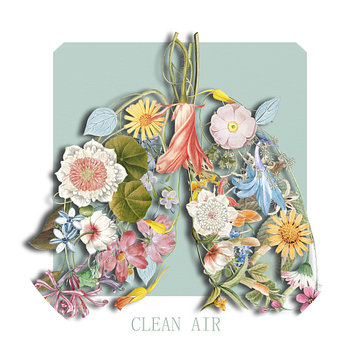 Clean Air van Marja van den Hurk