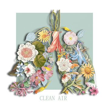 Clean Air von Marja van den Hurk