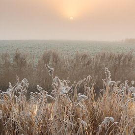 Een koude winterochtend van Hillebrand Breuker