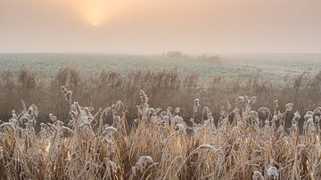 Ein kalter Wintermorgen von Hillebrand Breuker