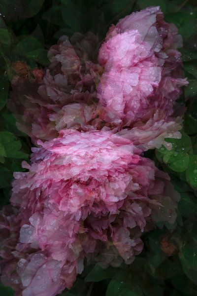 Transience by Thomas Jäger