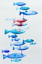 Verbonden met elkaar (abstract aquarel schilderij dieren vissen blauw zee oceaan abstract vissenkom) van Natalie Bruns thumbnail