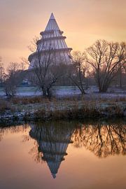 Old Elbe in Magdeburg with millennium tower in the Elbauenpark by Heiko Kueverling