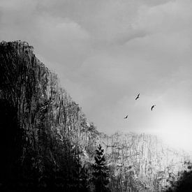 Mountains black/white by DominixArt