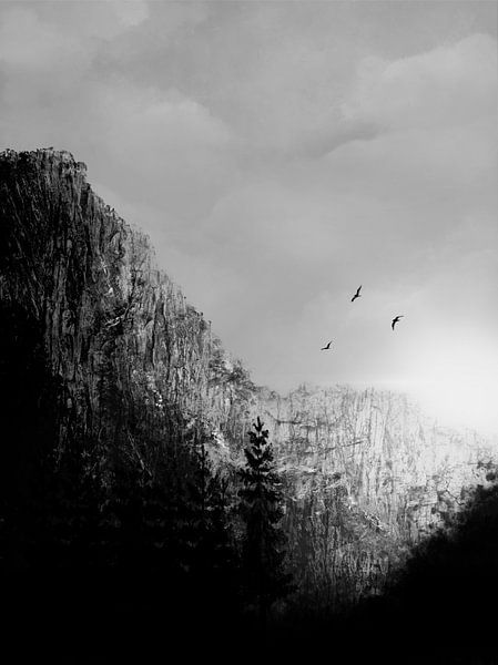Berge schwarz/weiß von DominixArt