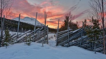 Norwegen, Sonnenaufgag van Michael Schreier