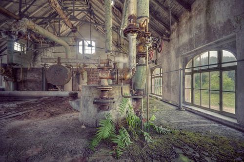 Urbex - Fabriekshal