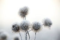 Wintertime