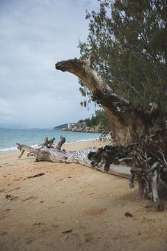 Magnetic Island: A Tropical Oasis in Queensland by Ken Tempelers