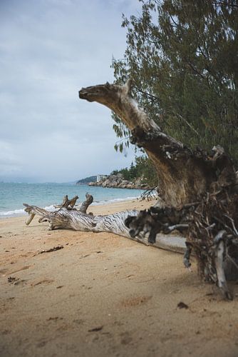 Magnetic Island: Een Tropische Oase in Queensland