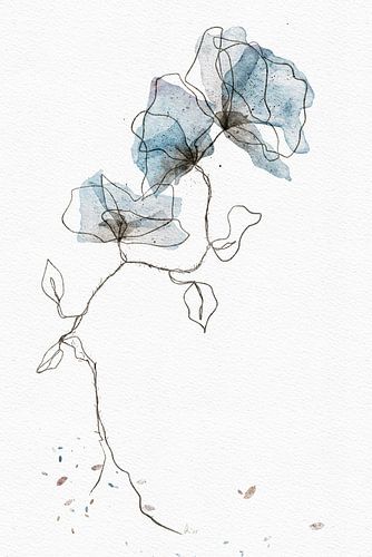 Poppy Blues