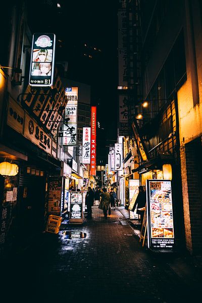 Hidden Alleys of Shinjuku: A Look into the Hidden by Ken Tempelers