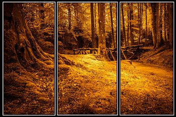 In het bos