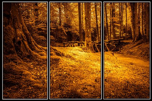 In het bos