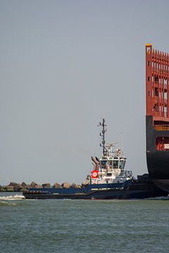 Sleepboot in actie met een een containerschip van scheepskijkerhavenfotografie