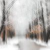 Winter van Ingrid Van Damme fotografie