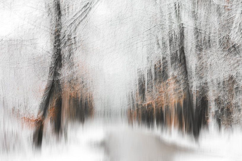 L'hiver par Ingrid Van Damme fotografie