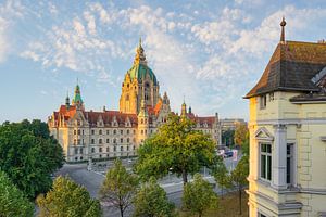 Neues Rathaus Hannover am Morgen