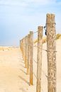 Strand von Scholtes Fotografie Miniaturansicht