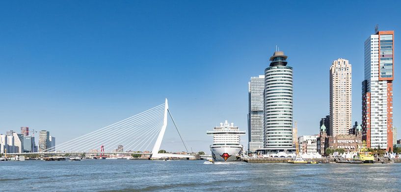 Stadsgezicht Rotterdam met de Erasmusbrug van Jurgen Hermse