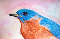 Sialia vogel oranje en blauw van Gabriela Brakenhoff thumbnail
