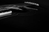 Richwood guitar