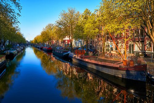 Uitzicht op de Prinsengracht in Amsterdam, 2021 - 1