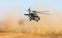 Seahawk marine helicopter in the desert by Atelier Liesjes thumbnail