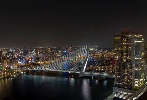 Rotterdam skyline at night in birdsview