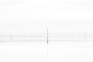 High-key opname bij Texel