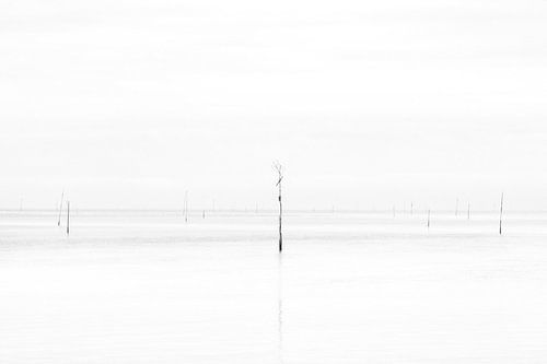 High-key opname bij Texel