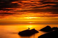 Zonsondergang aan de Noordzee van Menno Schaefer thumbnail