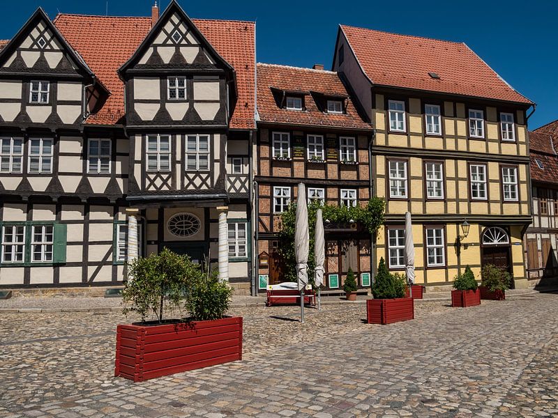 Vakwerkhuizen in de stad Quedlinburg in het Harzgebergte van Animaflora PicsStock