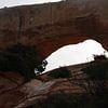 Arches National Park von Matthias Brix