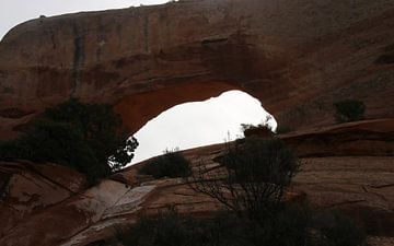 Arches National Park