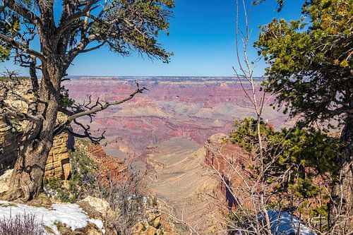 Grand Canyon in de sneeuw.