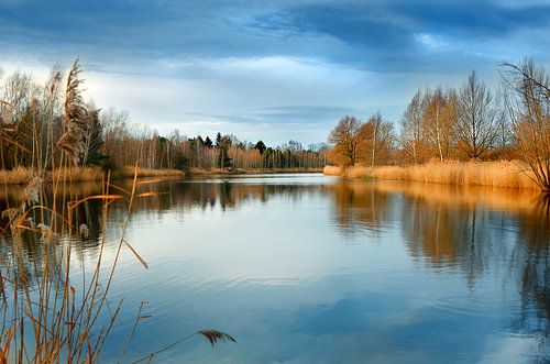 Am See  von Violetta Honkisz