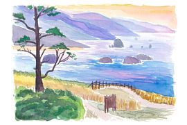 Brouillard d'eau sur une plage de l'Oregon près de l'Ecola State Park