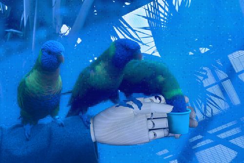 Die Gedichte, die Sie gelesen haben