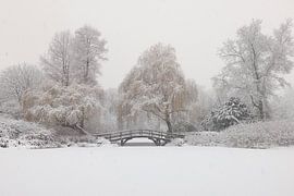 Broersepark in Winter